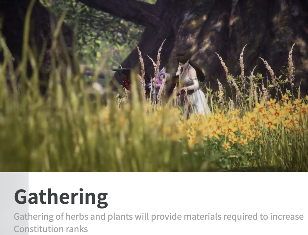 ブロックチェーンゲームMIR4（ミル4）とは？ゲームの始め方を画像付きで解説！ – NFT投資ナビ